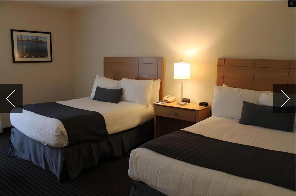 بوسطن Midtown Hotel المظهر الخارجي الصورة